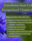 ʻIli Nani Vitamin C Oil Serum