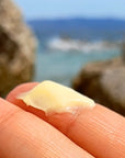 Hōkūloa Bakuchiol & Noni Moisturizer