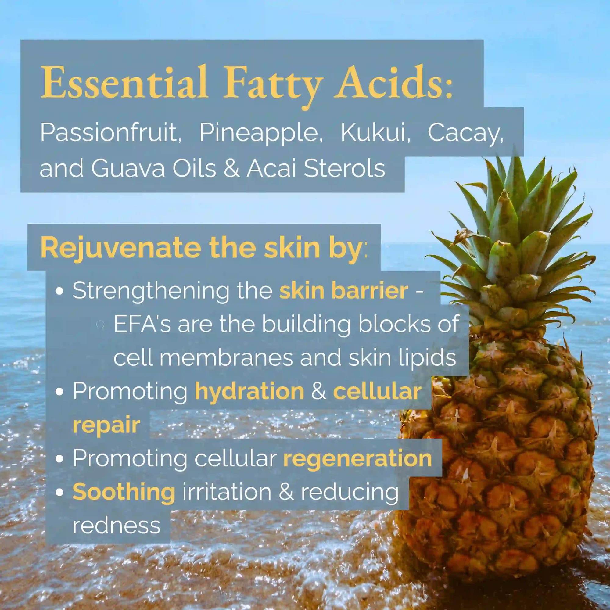 ʻIli Nani Vitamin C Oil Serum